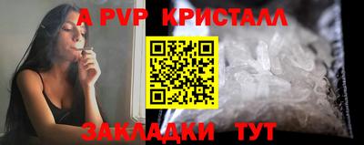 СК Шебекино