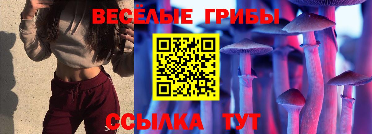 Псилоцибиновые грибы прущие грибы  Вход с VPN  Богородск  Псилоцибиновые грибы прущие грибы 
