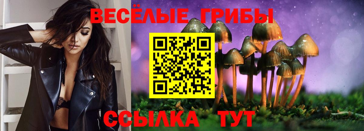 Псилоцибиновые грибы Psilocybine cubensis Богородск